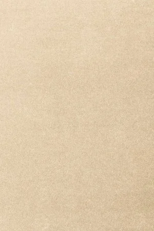 Ковровое покрытие AW Oinone 34 - (5м) в Саратове