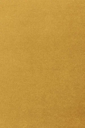 Ковровое покрытие AW Oinone 54 - (5м) в Саратове