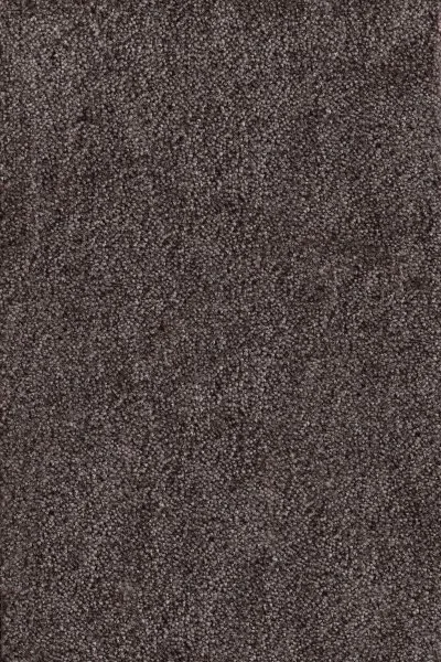 Ковровое покрытие AW Messalina 44 - (4м) в Саратове