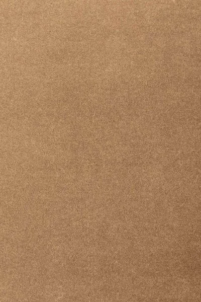 Ковровое покрытие AW Oinone 38 - (4м) в Саратове