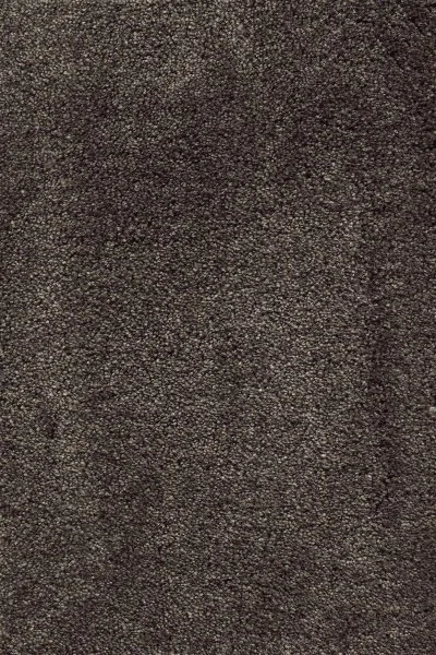 Ковровое покрытие AW Fedone 44 - (5м) в Саратове