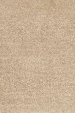 Ковровое покрытие AW Omphale 37 - (5м) в Саратове