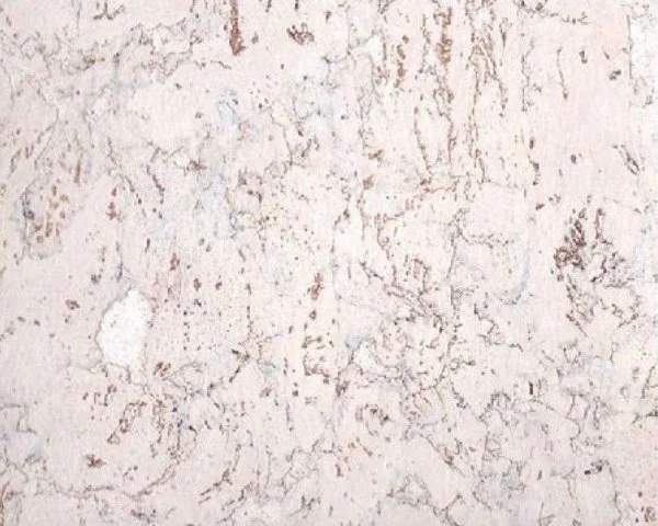 Настенное пробковое покрытие CorkArt PW 324 WS в Саратове