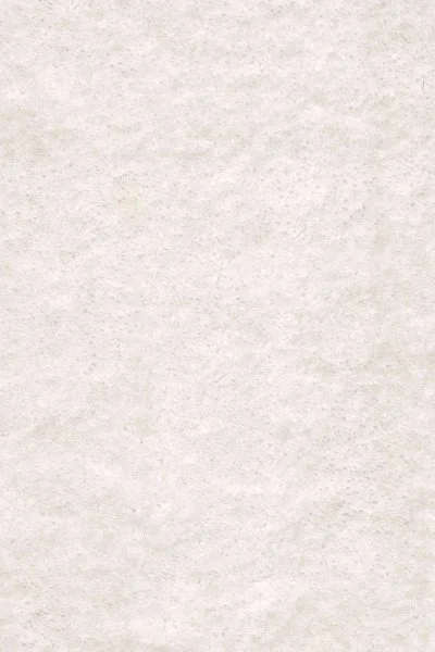 Ковровое покрытие AW Euphoria 03 - (5м) в Саратове