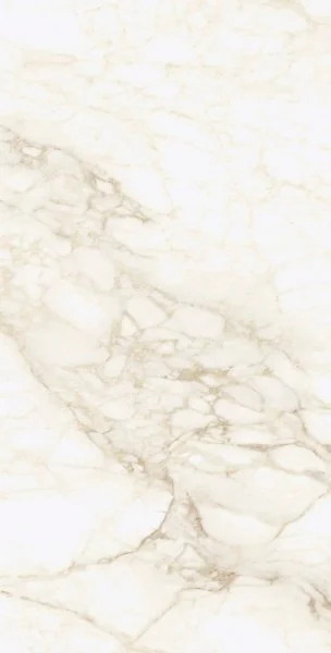 Керамогранит Coliseum Микеланджело Ворм 60х120 (Натуральный и Реттифицированный) в Саратове