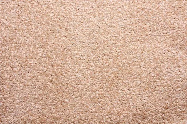 Ковровое покрытие Zartex Фортуна 004 кремовый - 3 м в Саратове