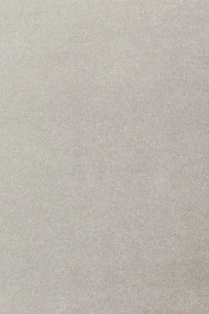 Ковровое покрытие AW Oinone 92 - (5м) в Саратове