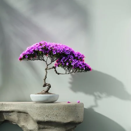 Обои Loymina Lotus LOT1 112 в Саратове