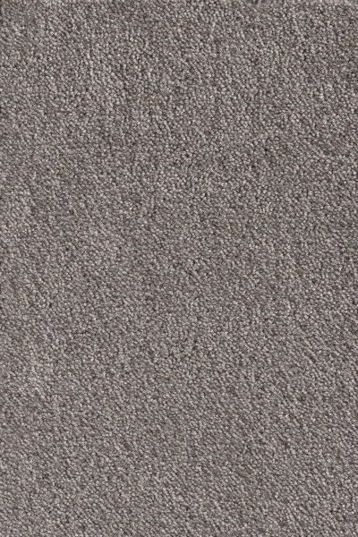 Ковровое покрытие AW Messalina 49 - (5м) в Саратове