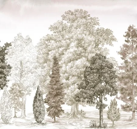 Обои Loymina Пейзаж vol. 2 ART14 012 в Саратове