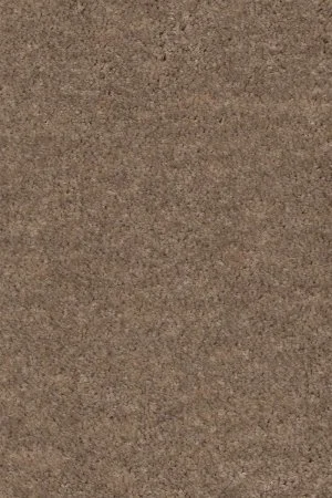 Ковровое покрытие AW Euphoria 36 - (4м) в Саратове