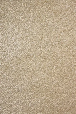 Ковровое покрытие AW Euphoria 33 - (4м) в Саратове