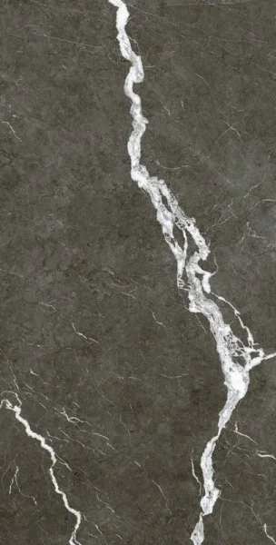 Керамогранит Coliseum Микеланджело Дарк 60х120 (Натуральный и Реттифицированный) в Саратове