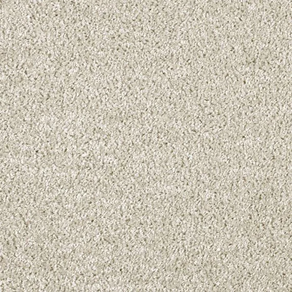 Ковровое покрытие AW Kiama 39 - (5м) в Саратове