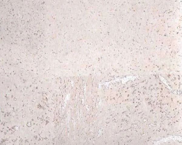 Настенное пробковое покрытие CorkArt PW 386 WS в Саратове