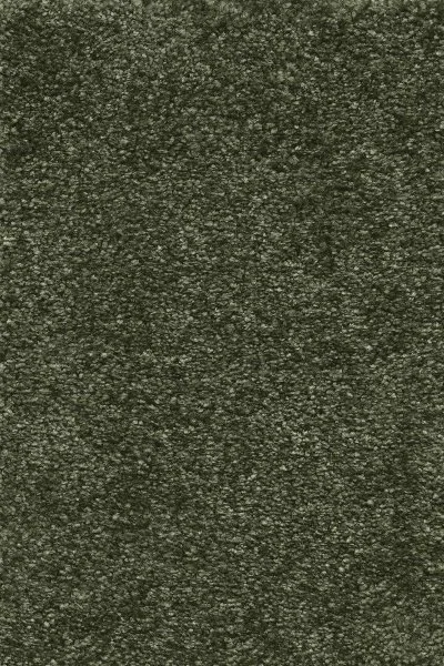 Ковровое покрытие AW Certosa 24 - (4м) в Саратове