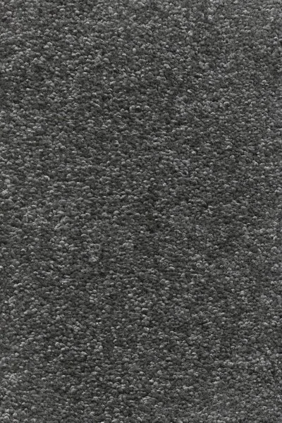 Ковровое покрытие AW Omnia 97 - (4м) в Саратове