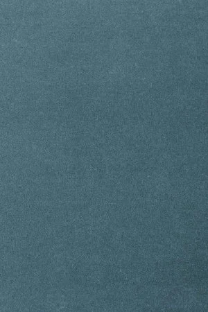 Ковровое покрытие AW Oinone 74 - (5м) в Саратове