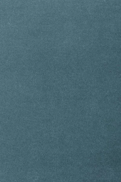 Ковровое покрытие AW Oinone 74 - (5м) в Саратове