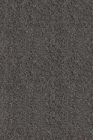 Ковровое покрытие AW Messalina 99 - (5м) в Саратове