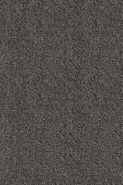 Ковровое покрытие AW Messalina 99 - (5м) в Саратове