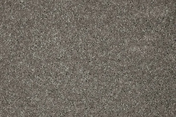 Ковровое покрытие AW Gala 94 - (5м) в Саратове