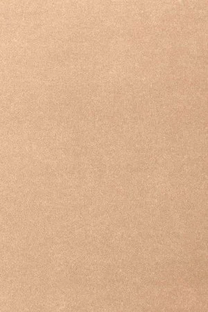 Ковровое покрытие AW Oinone 08 - (4м) в Саратове