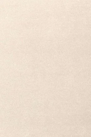 Ковровое покрытие AW Oinone 03 - (5м) в Саратове