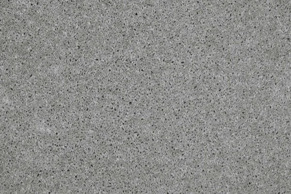 Ковровое покрытие AW Gala 90 - (4м) в Саратове