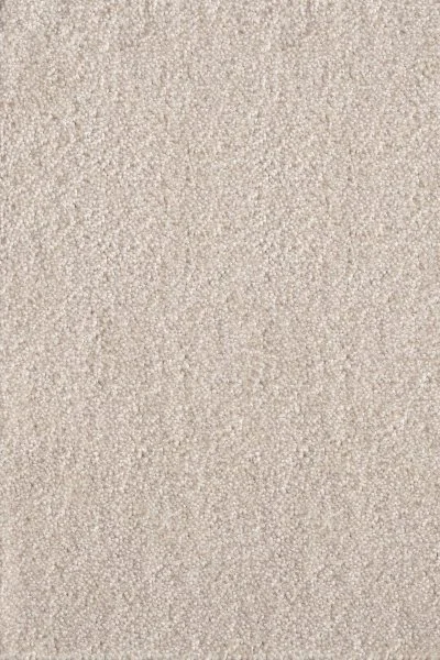 Ковровое покрытие AW Messalina 34 - (5м) в Саратове