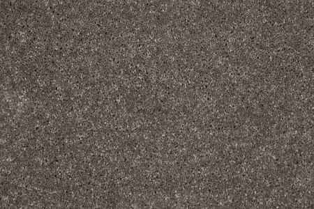 Ковровое покрытие AW Gala 49 - (5м) в Саратове