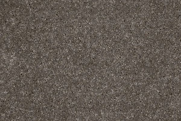 Ковровое покрытие AW Gala 49 - (4м) в Саратове