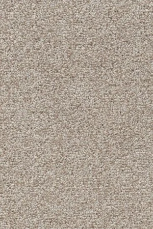 Ковровое покрытие AW Stainguard Harvest 04 - (4м) в Саратове