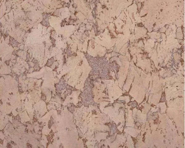 Настенное пробковое покрытие CorkArt PW 324 NK в Саратове