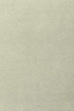 Ковровое покрытие AW Oinone 02 - (5м) в Саратове