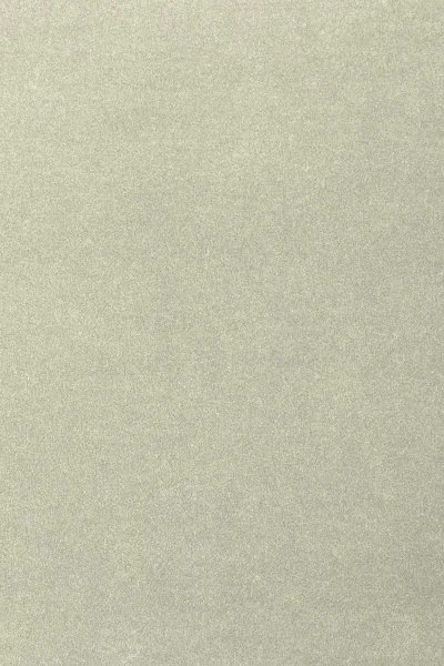 Ковровое покрытие AW Oinone 02 - (4м) в Саратове