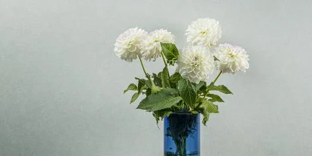 Обои Loymina Shade vol.2 SDR5, 001 в Саратове