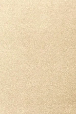 Ковровое покрытие AW Oinone 33 - (5м) в Саратове