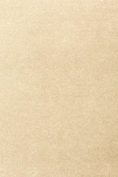 Ковровое покрытие AW Oinone 33 - (4м) в Саратове