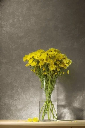 Обои Loymina Golden Library TDG 7, 008 в Саратове