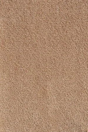 Ковровое покрытие AW Messalina 38 - (5м) в Саратове