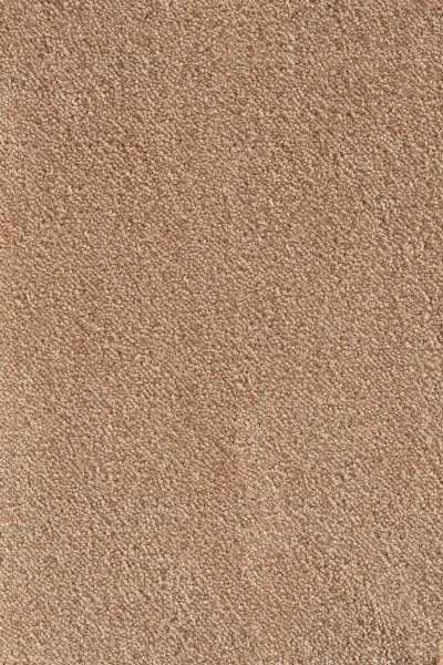 Ковровое покрытие AW Messalina 38 - (5м) в Саратове