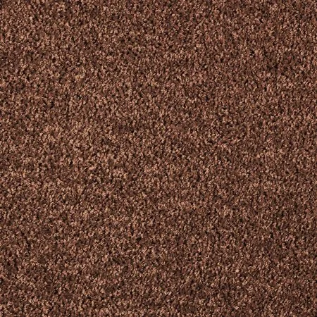 Ковровое покрытие AW Kiama 48 - (5м) в Саратове