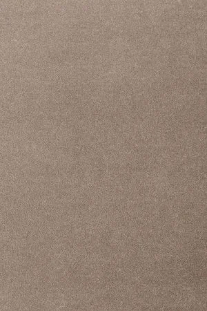 Ковровое покрытие AW Oinone 49 - (4м) в Саратове