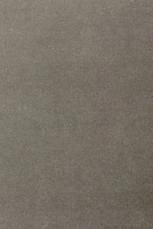 Ковровое покрытие AW Oinone 95 - (4м) в Саратове