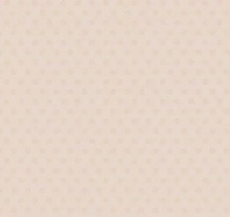 Обои Loymina Golden Library Q11, 002/1 в Саратове