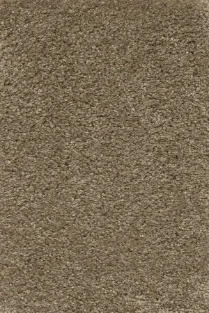 Ковровое покрытие AW Certosa 35 - (5м) в Саратове