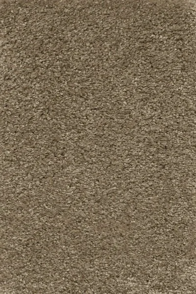 Ковровое покрытие AW Certosa 35 - (5м) в Саратове