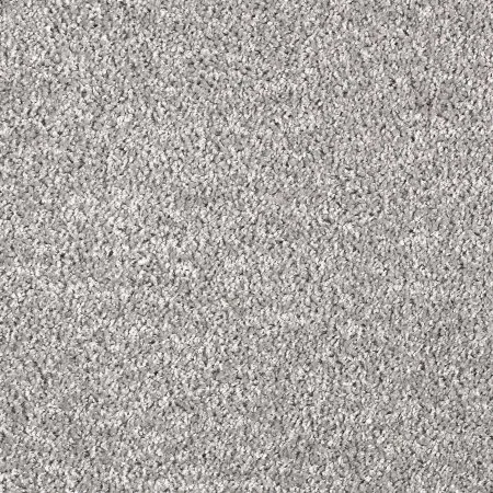 Ковровое покрытие AW Kiama 97 - (5м) в Саратове