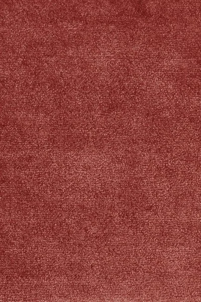 Ковровое покрытие AW Omphale 10 - (5м) в Саратове